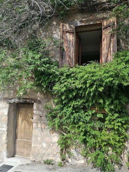 La Maison De La Vigne Bauduen Kültér fotó